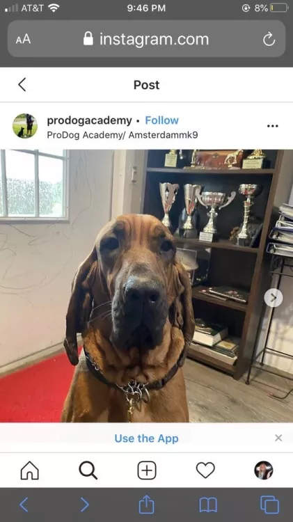 Pro Dog Academy, Florida, Loxahatchee